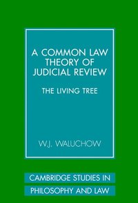 bokomslag A Common Law Theory of Judicial Review
