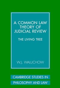 bokomslag A Common Law Theory of Judicial Review