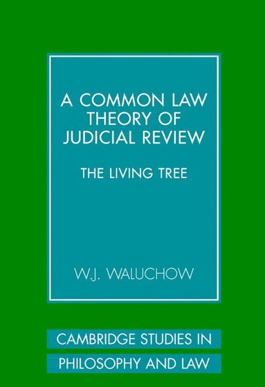 bokomslag A Common Law Theory of Judicial Review