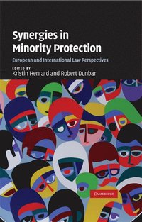 bokomslag Synergies in Minority Protection