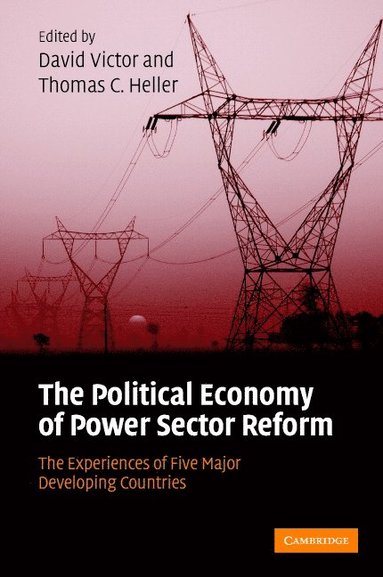 bokomslag The Political Economy of Power Sector Reform