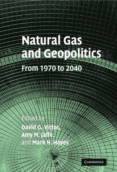 bokomslag Natural Gas and Geopolitics