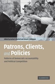 bokomslag Patrons, Clients and Policies