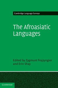 bokomslag The Afroasiatic Languages