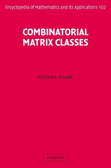 bokomslag Combinatorial Matrix Classes