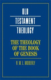bokomslag The Theology of the Book of Genesis