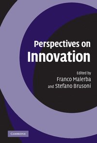 bokomslag Perspectives on Innovation