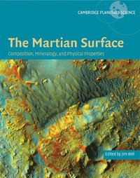 bokomslag The Martian Surface