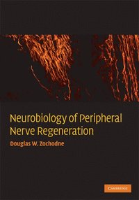 bokomslag Neurobiology of Peripheral Nerve Regeneration