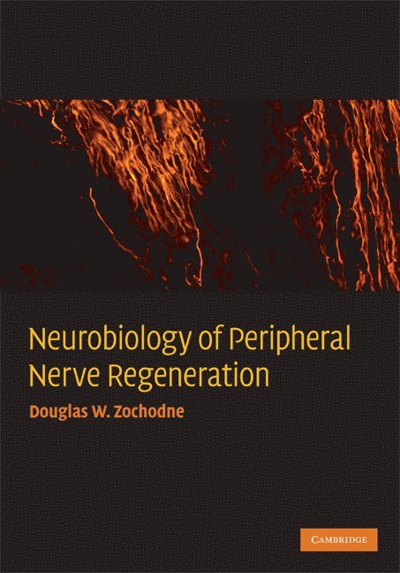 Neurobiology of Peripheral Nerve Regeneration