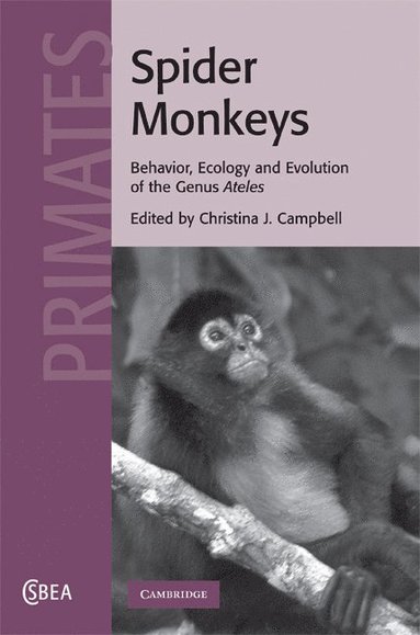 bokomslag Spider Monkeys