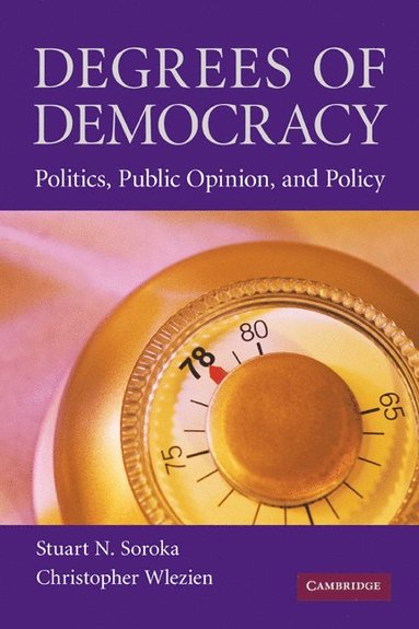 bokomslag Degrees of Democracy