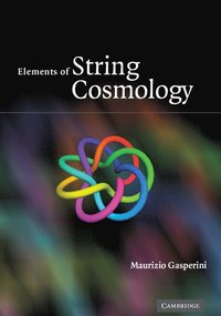 bokomslag Elements of String Cosmology