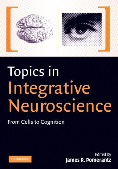 bokomslag Topics in Integrative Neuroscience