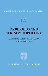 bokomslag Orbifolds and Stringy Topology