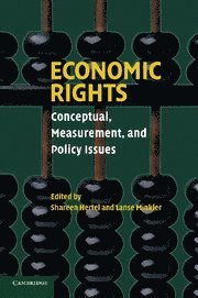 bokomslag Economic Rights