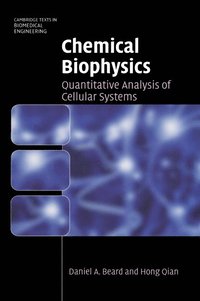 bokomslag Chemical Biophysics