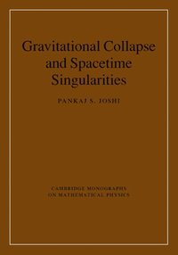 bokomslag Gravitational Collapse and Spacetime Singularities