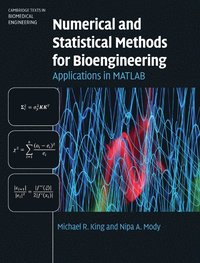 bokomslag Numerical and Statistical Methods for Bioengineering
