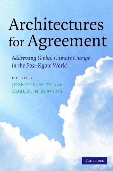 Joseph E. Aldy, Robert N. Stavins - Architectures for Agreement, Inbunden