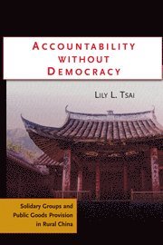 bokomslag Accountability without Democracy