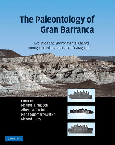 Richard H. Madden, Alfredo A. Carlini, Maria Guiomar Vucetich, Richard F. Kay - The Paleontology of Gran Barranca, Inbunden