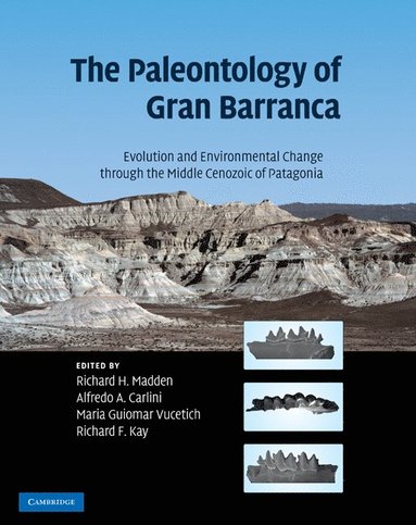 bokomslag The Paleontology of Gran Barranca