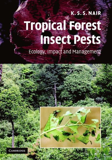 bokomslag Tropical Forest Insect Pests