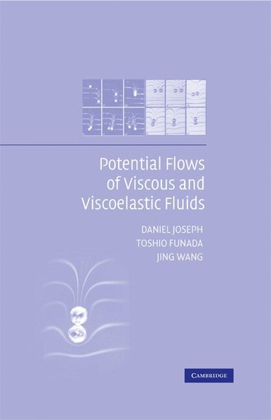 Daniel Joseph, Toshio Funada, Jing Wang - Potential Flows of Viscous and Viscoelastic Liquids, Inbunden