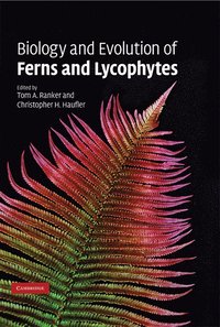 bokomslag Biology and Evolution of Ferns and Lycophytes