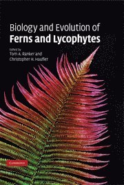 bokomslag Biology and Evolution of Ferns and Lycophytes