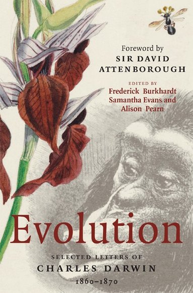 Frederick Burkhardt, Alison M. Pearn, Samantha Evans - Evolution, Inbunden