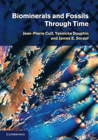 bokomslag Biominerals and Fossils Through Time