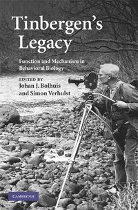 bokomslag Tinbergen's Legacy