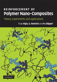bokomslag Reinforcement of Polymer Nano-Composites