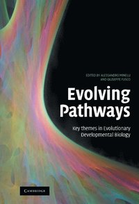bokomslag Evolving Pathways