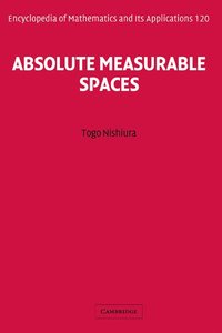 bokomslag Absolute Measurable Spaces