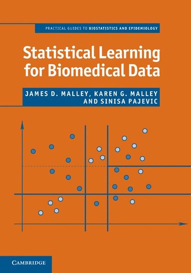 bokomslag Statistical Learning for Biomedical Data