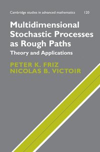 bokomslag Multidimensional Stochastic Processes as Rough Paths