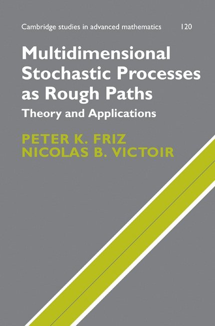 Multidimensional Stochastic Processes as Rough Paths 1