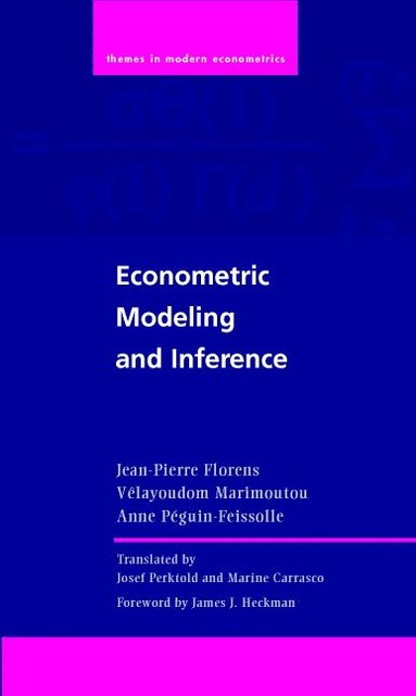 bokomslag Econometric Modeling and Inference