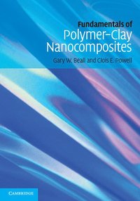 bokomslag Fundamentals of Polymer-Clay Nanocomposites