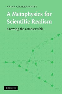 bokomslag A Metaphysics for Scientific Realism