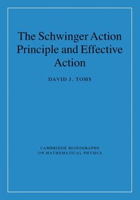 bokomslag The Schwinger Action Principle and Effective Action