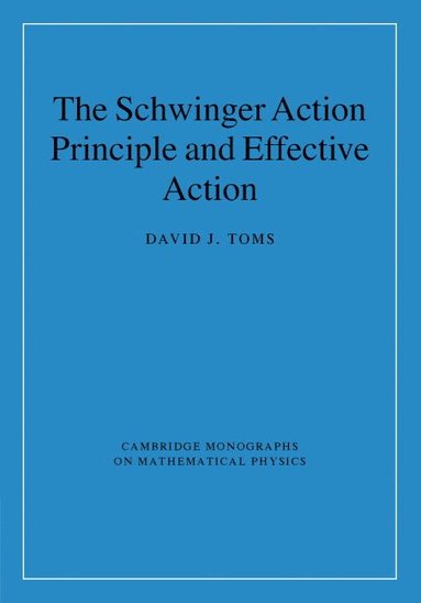 bokomslag The Schwinger Action Principle and Effective Action