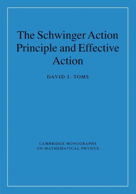 David J. Toms, David J. (University of Newcastle upon Tyne) Toms - The Schwinger Action Principle and Effective Action, Inbunden