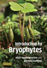 bokomslag Introduction to Bryophytes