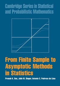 bokomslag From Finite Sample to Asymptotic Methods in Statistics