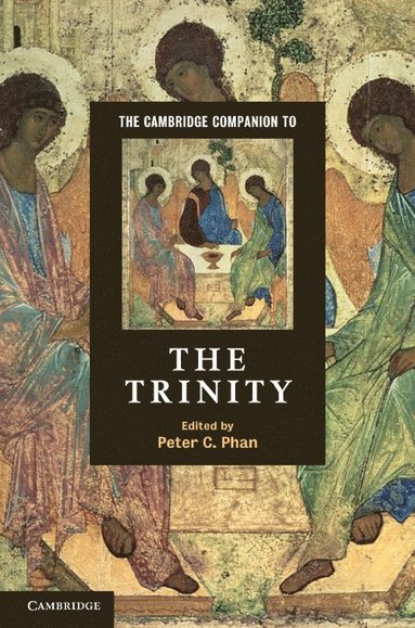 bokomslag The Cambridge Companion to the Trinity