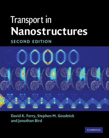David K. Ferry, Stephen M. Goodnick, Jonathan Bird - Transport in Nanostructures, Inbunden